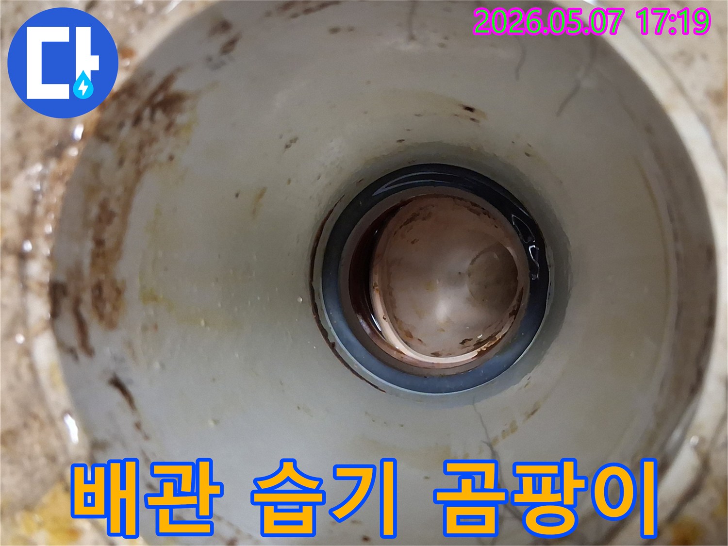 배관 내부에-지속적인 습기로 인해-곰팡이가 발생한-모습을 보여주는 사진입니다.