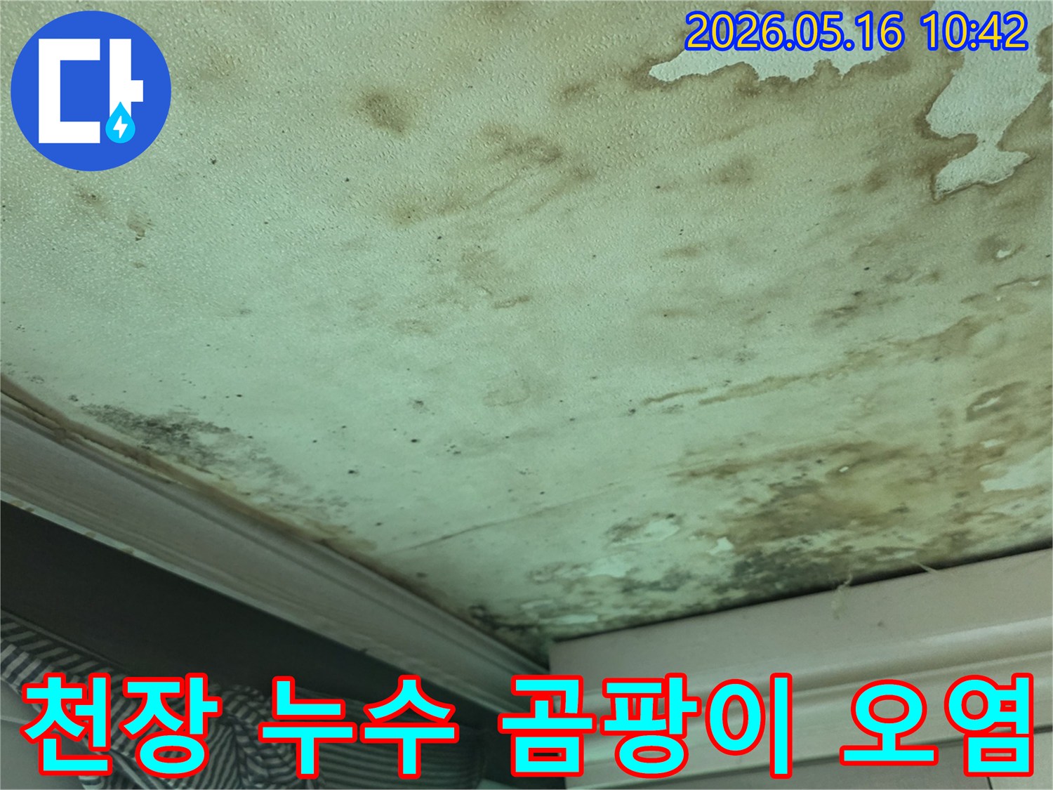 누수로-인해-천장에-발생한-물자국과-곰팡이-오염이-심각한-상태를-보여줍니다
