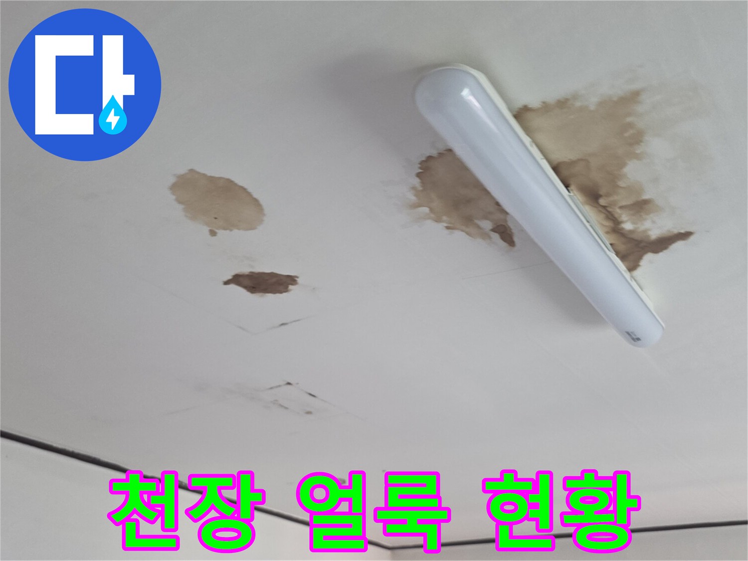 천장 조명 근처에 발생한 누수 유입 흔적 및 변색 부위