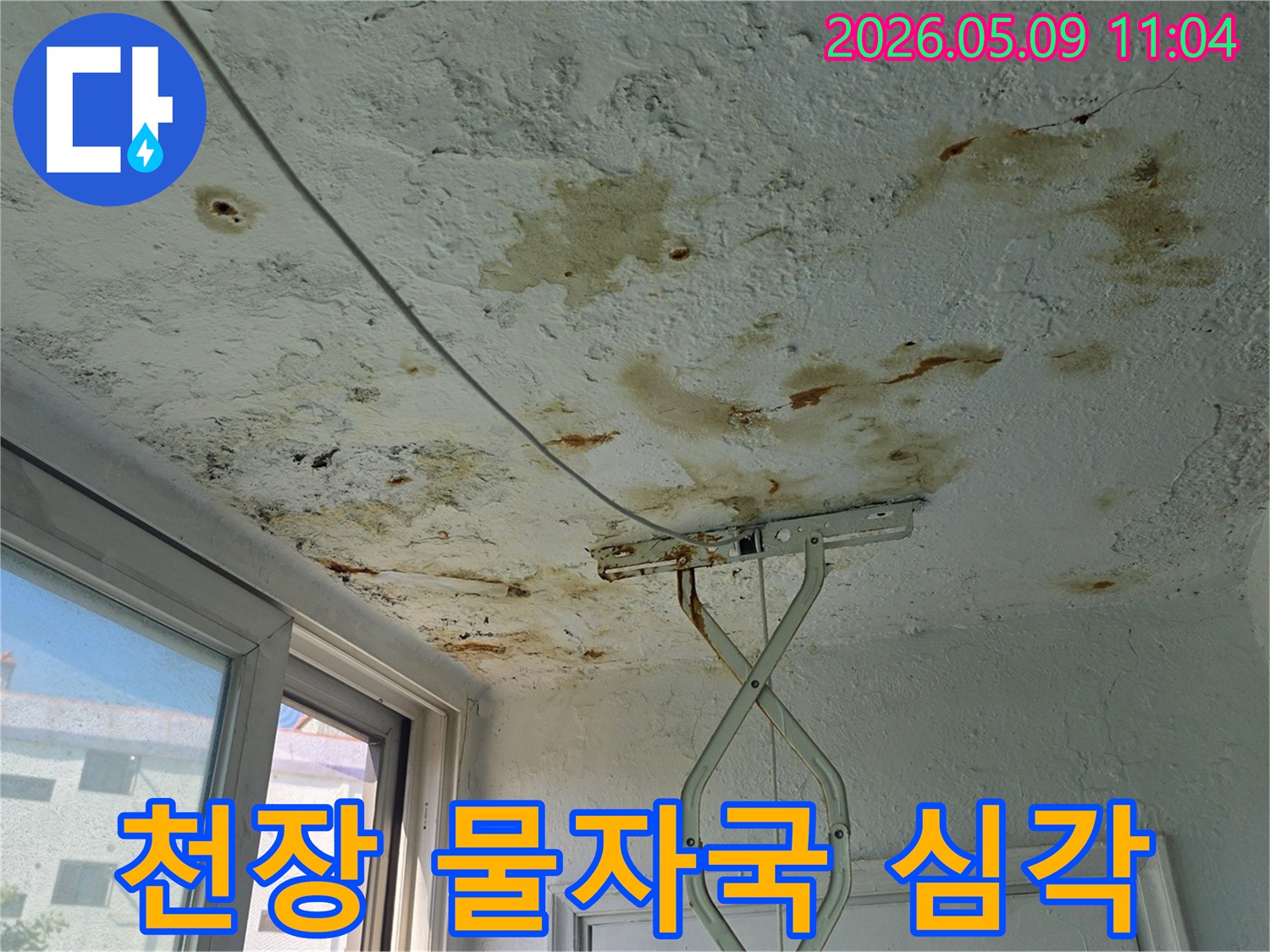 천장 전반에 걸쳐 넓게 퍼진 물자국과-함께 곰팡이가 발생한 심각한 누수-피해 현장입니다