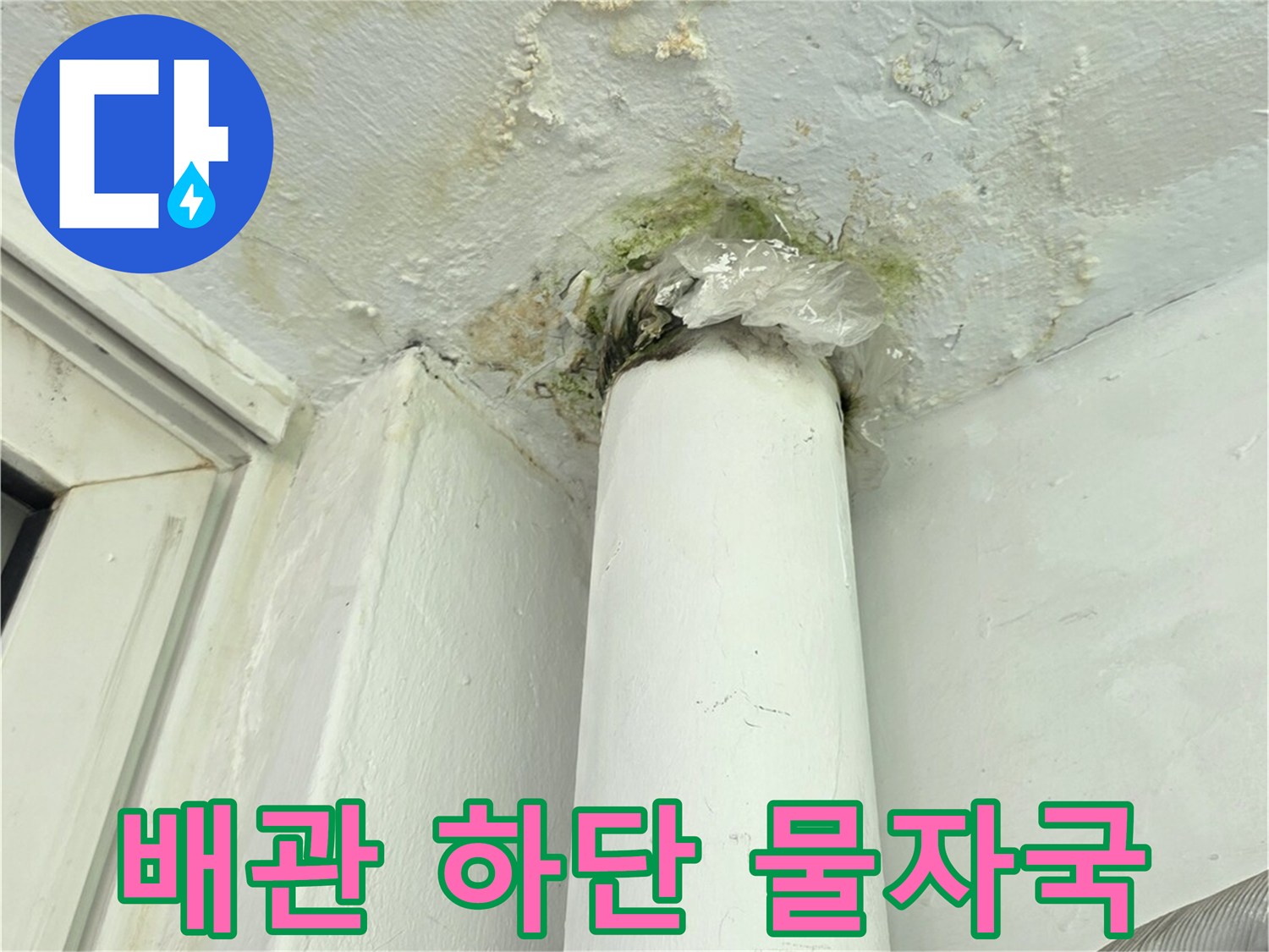 하얀 배관 주변의 젖은 벽면과 녹색 곰팡이 자국