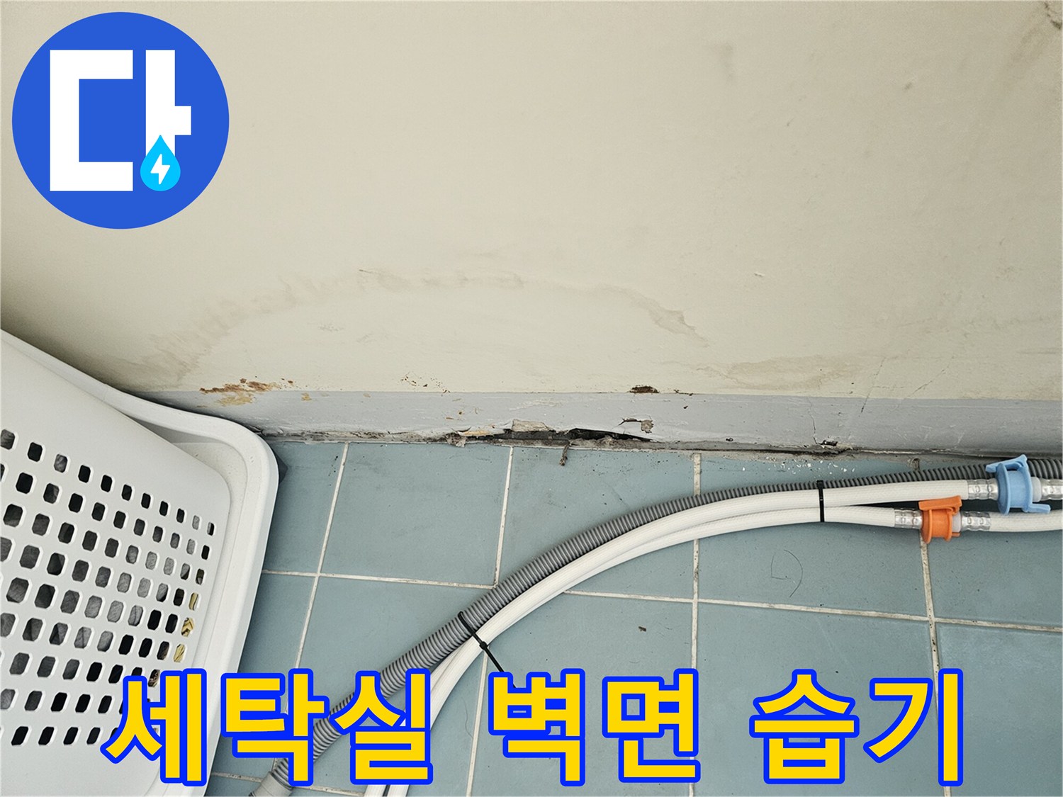 벽체와 바닥 경계-물샘으로 인한 변색된 벽면