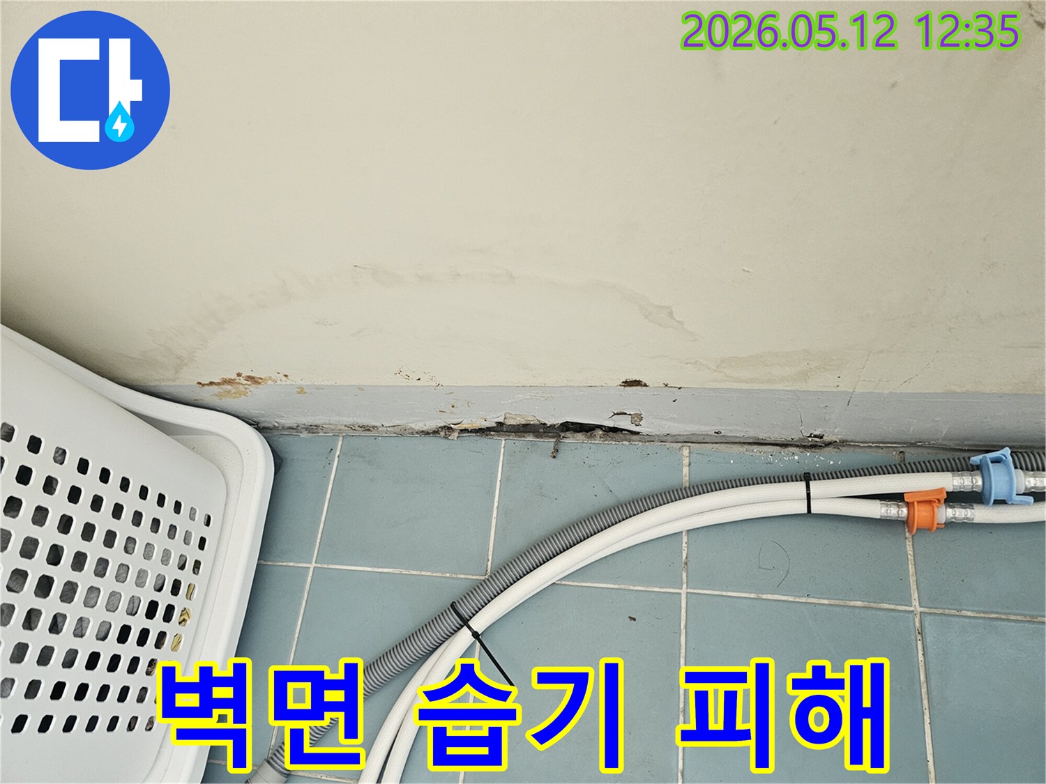 세탁실 벽 하단에 스며든 물기로 인한 벽지 손상-곰팡이 발생-배수 호스 주변의 습기 흔적