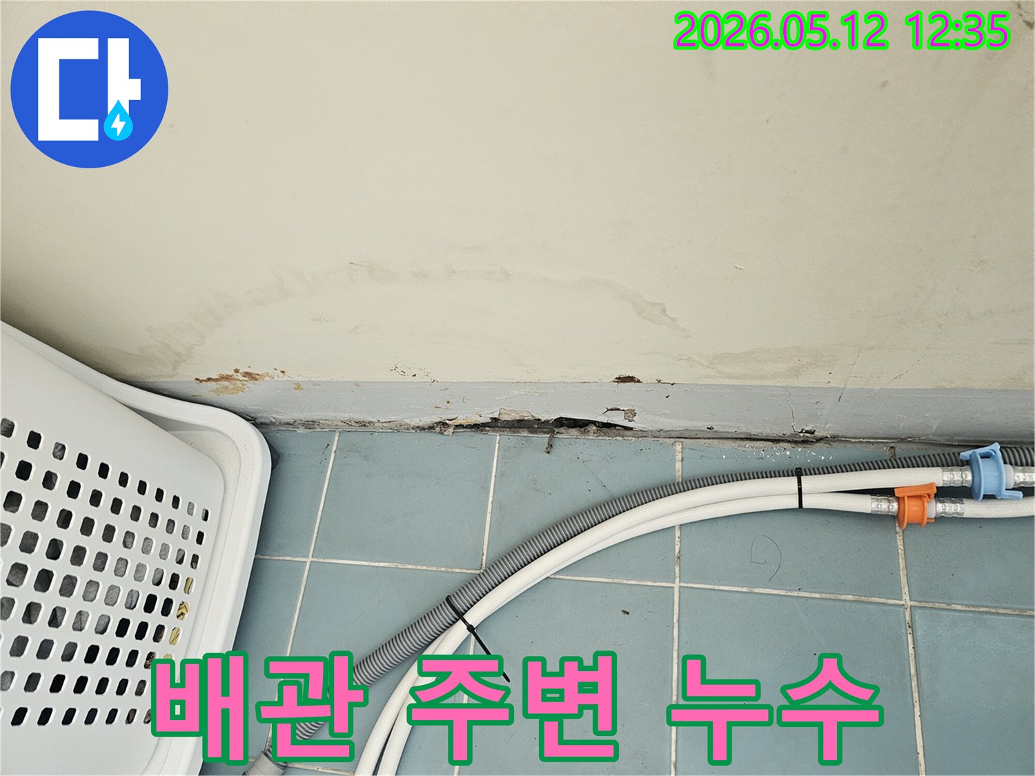 아파트 벽 하단에 스며든 물기로 인한 벽지 손상-곰팡이 발생-세탁기 배수 호스 근처