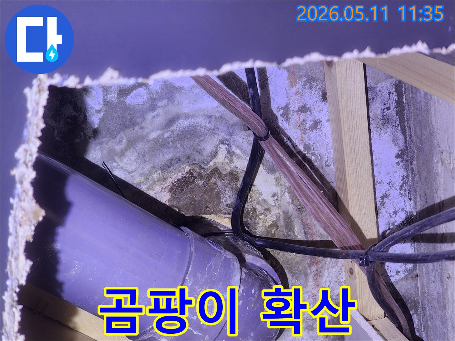 PVC-배관과-전선-묶음-주변으로-물샘-흔적과-곰팡이가-뚜렷하게-나타난-모습을-보여줍니다.