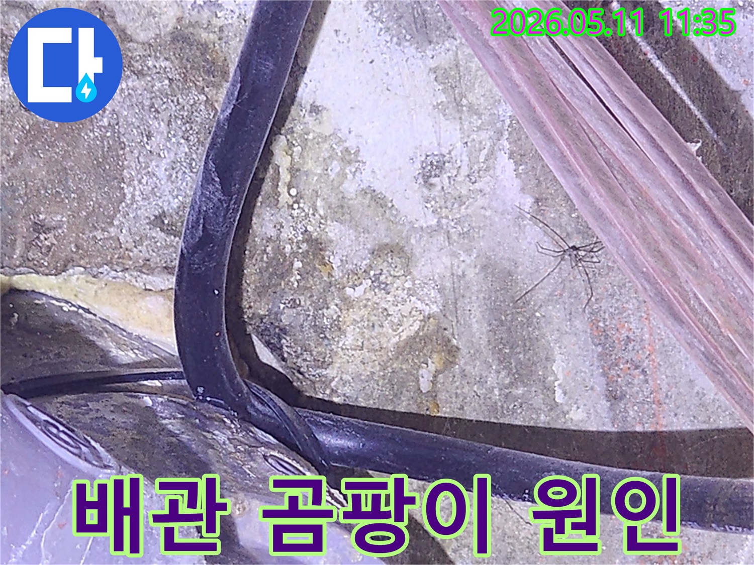 배관-주변에-발생한-곰팡이의-원인을-분석하기-위해-촬영된-누수-현장-사진