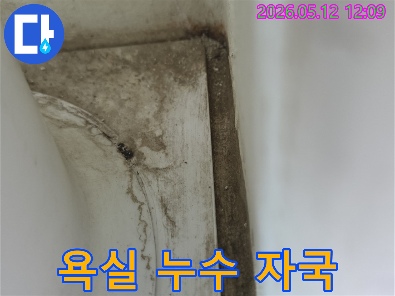 욕실-모서리-부분에-발생한-오래된-누수로-인한-물때와-곰팡이-자국