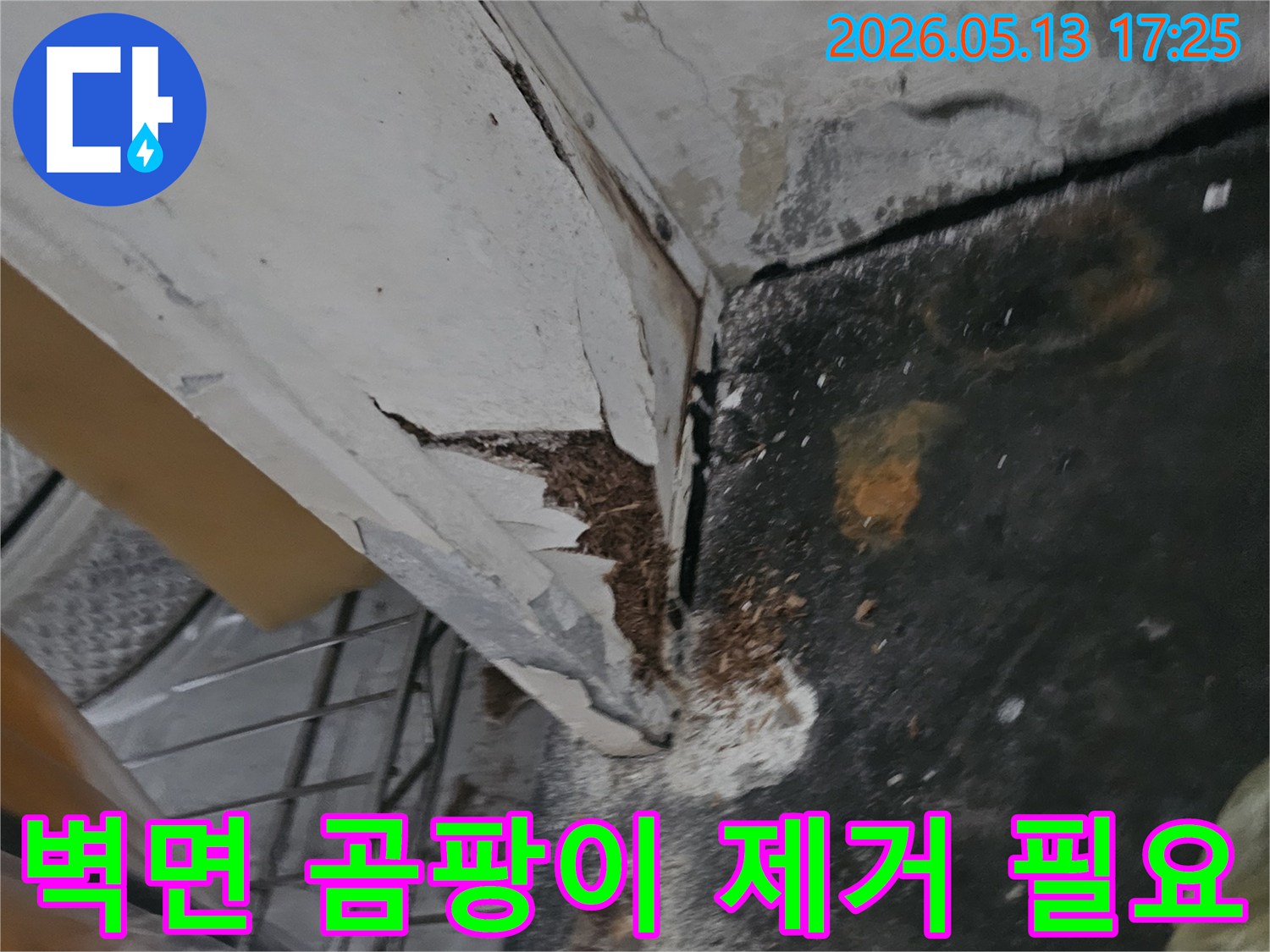천장 누수로 인해 벽면 페인트가 벗겨지고-심각하게 곰팡이가 번식한 현장입니다-안전한 보수와 곰팡이 제거가 시급합니다