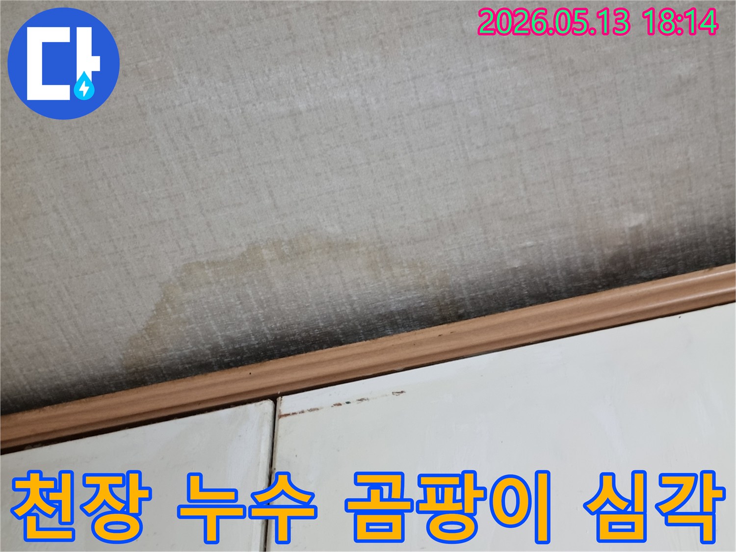 이 이미지는-천장에 발생한-누수로 인한-심각한 곰팡이-오염 상태를-생생하게 보여줍니다