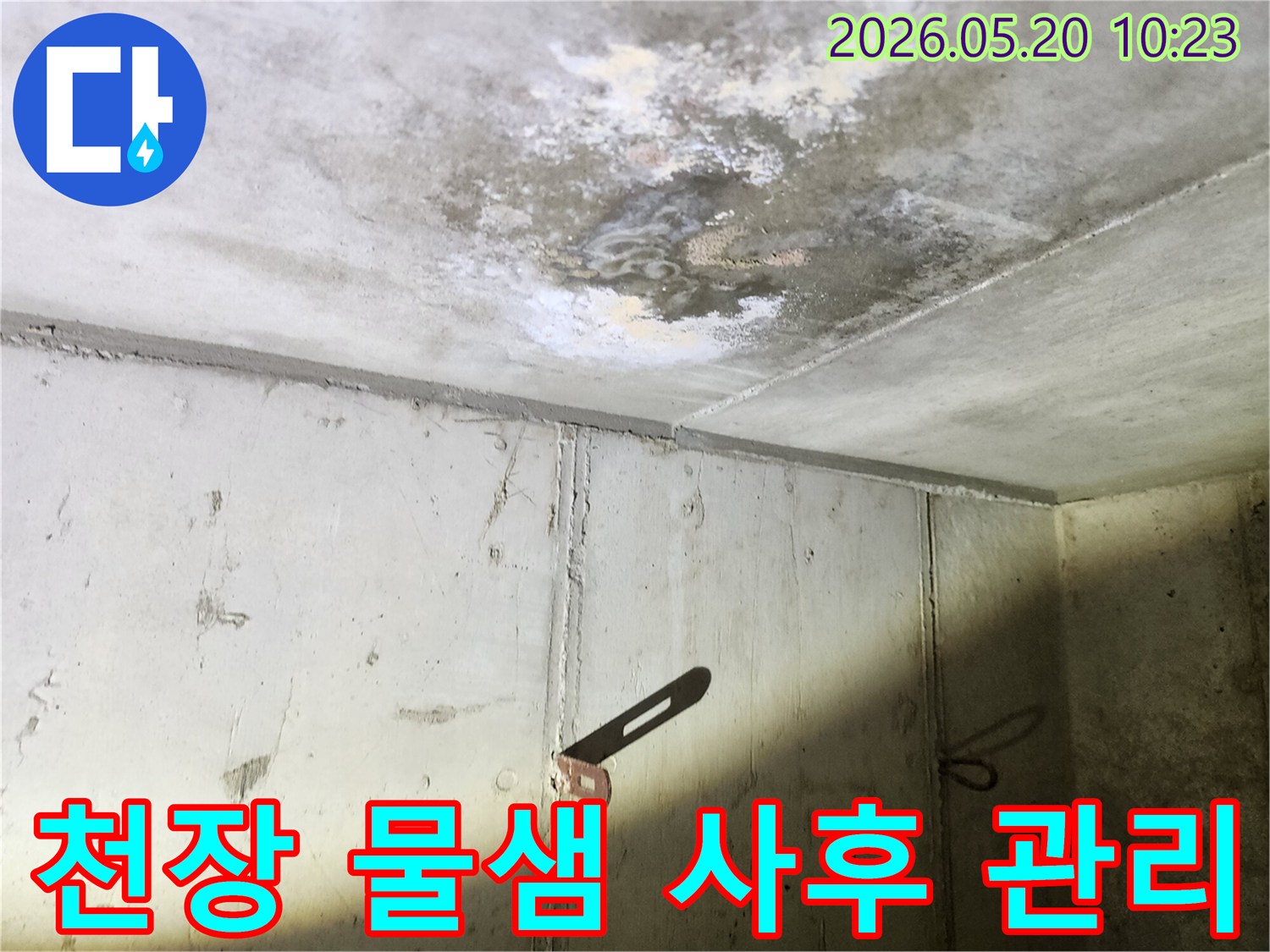 천장에서 물이 새어-콘크리트 표면에 생긴-물자국과 곰팡이를-꼼꼼하게 사후 관리하는 모습
