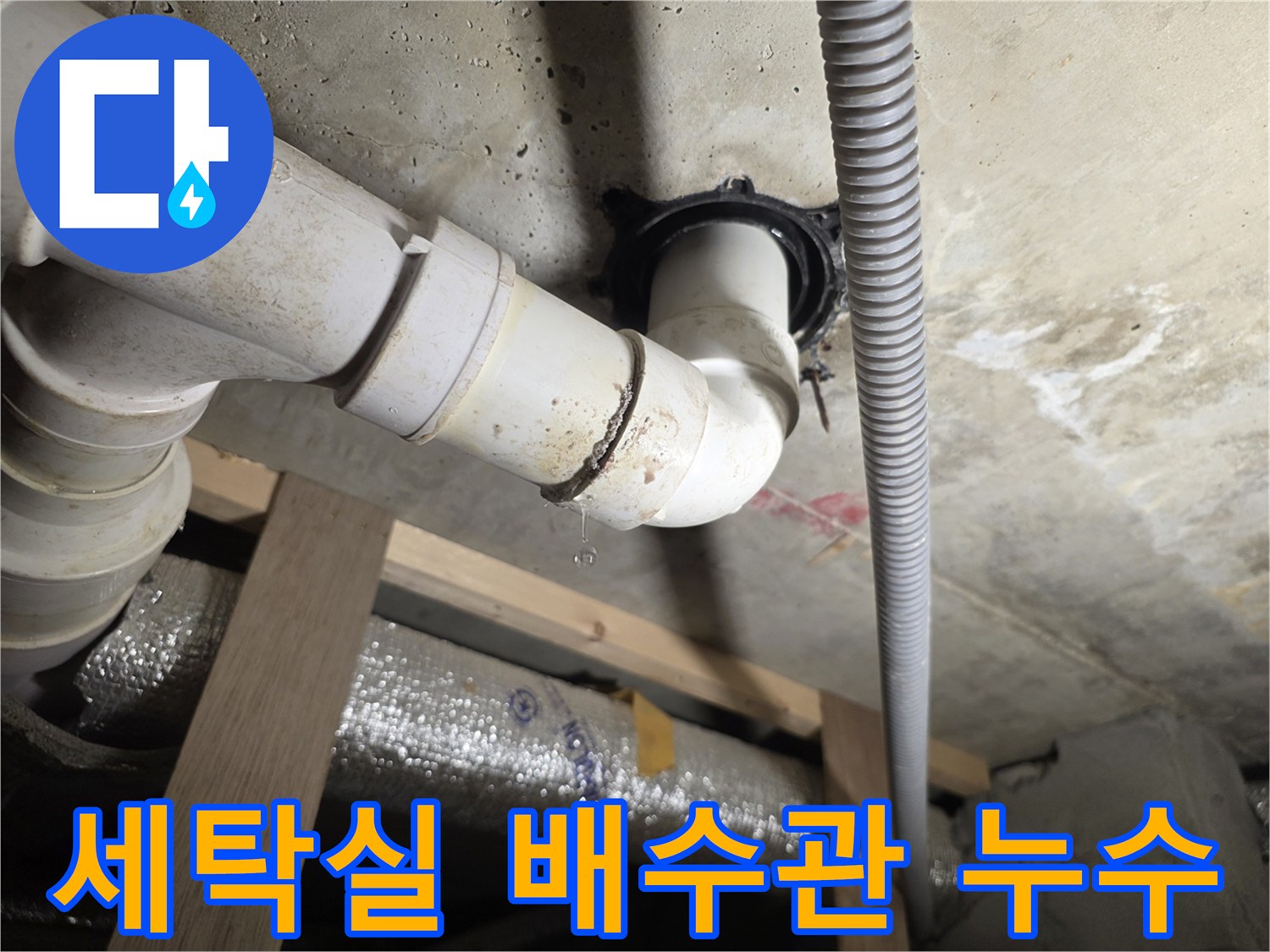 서대문구-세탁실-배수관-연결부위-누수-상태-확인