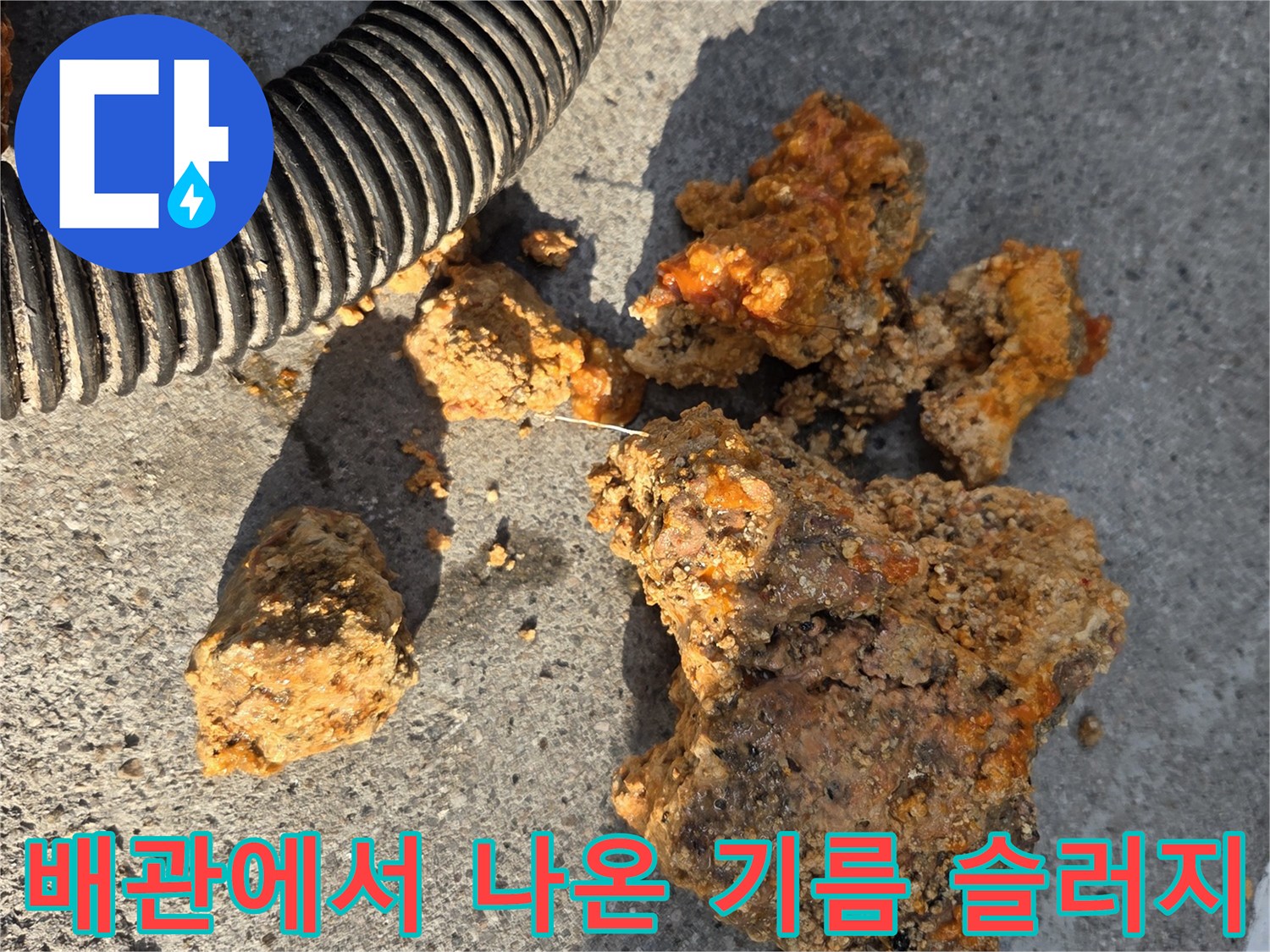 하수도 세척 과정에서 수거된 - 거대한 기름때 덩어리들