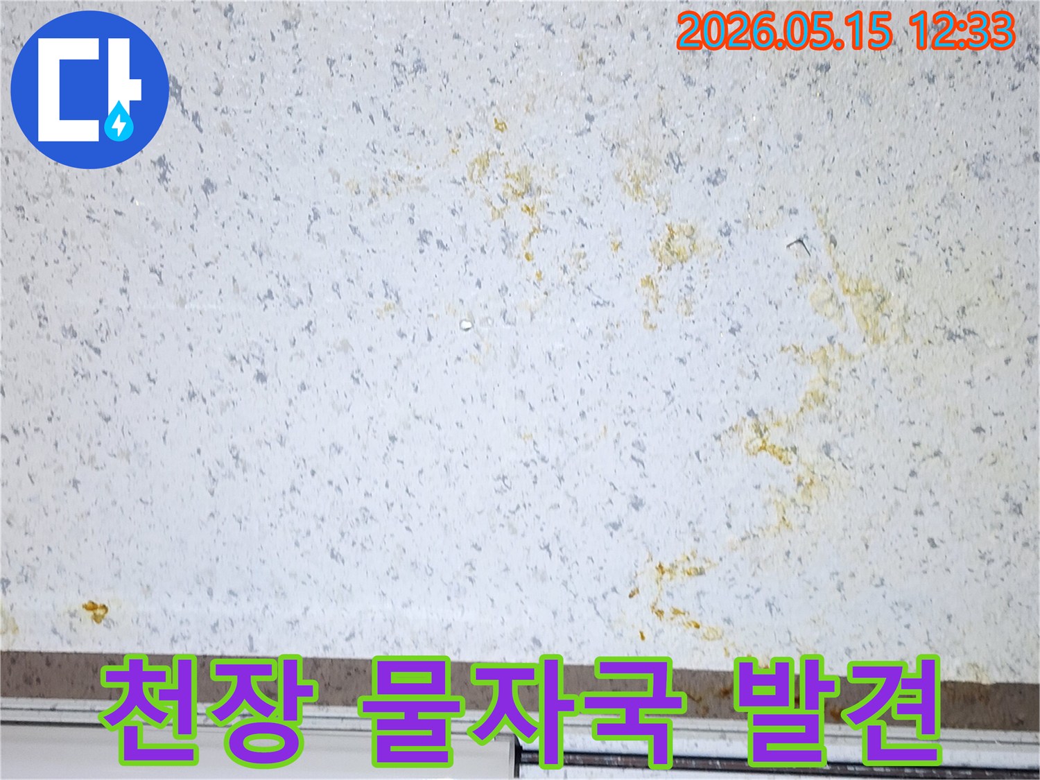 주택-천장에-생긴-물자국과-누수-전문가-진단-필요-상황