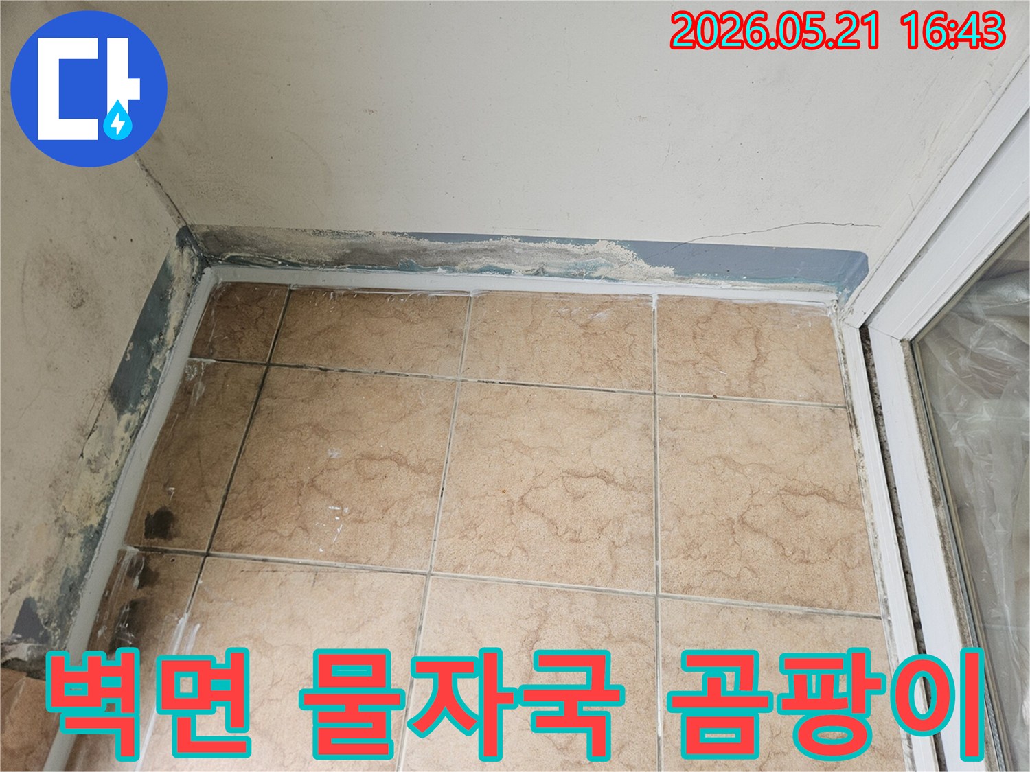 아파트 벽면 하단에 물자국과 곰팡이가 발생한 누수 현장을 보여주는 사진