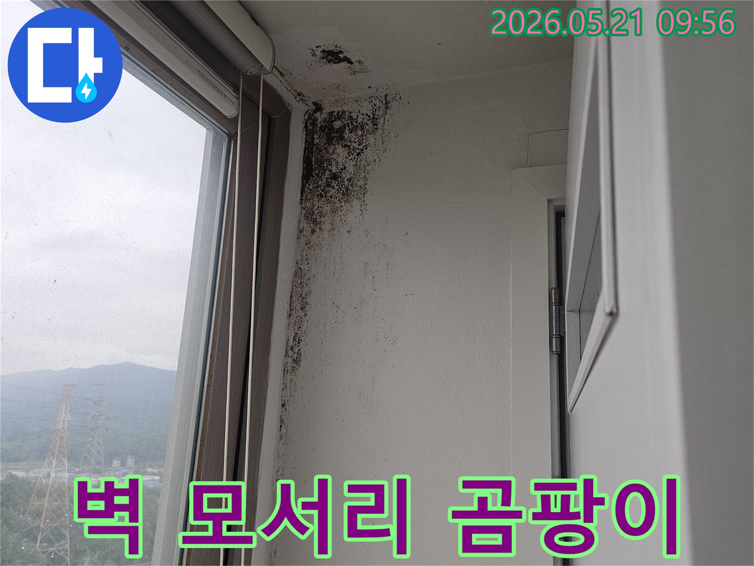 창문 상단 벽과 천장 모서리에 광범위하게 퍼진-검은 곰팡이-습기-오염-현장 사진