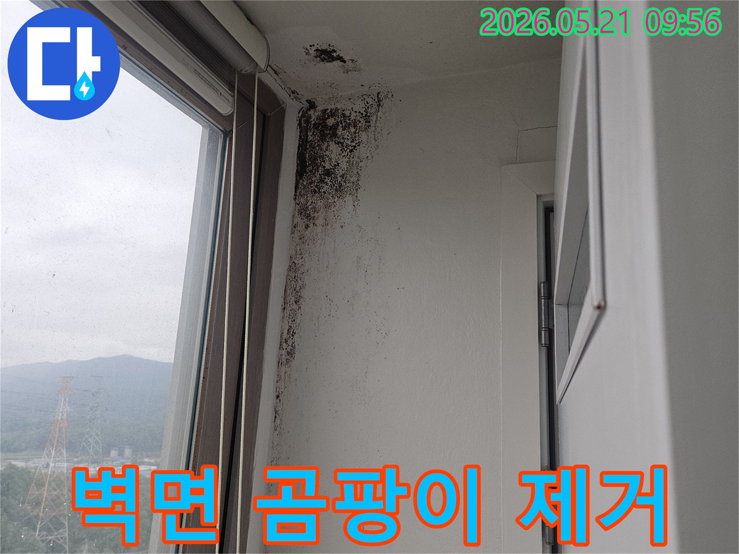 창문 상단 벽과 천장 모서리에 심각하게 번식한-검은 곰팡이-습기-누수-피해 현장