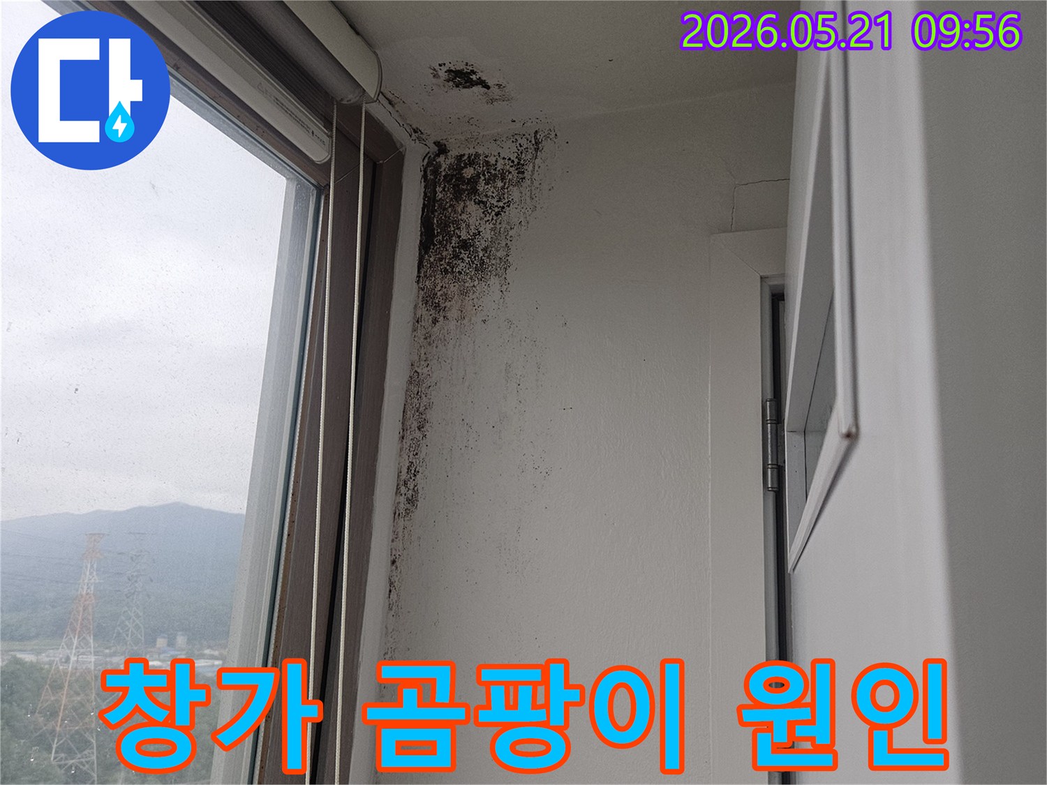 창문 상단 벽과 천장 모서리에 심각하게 번식한-검은 곰팡이-습기-누수-피해 현장