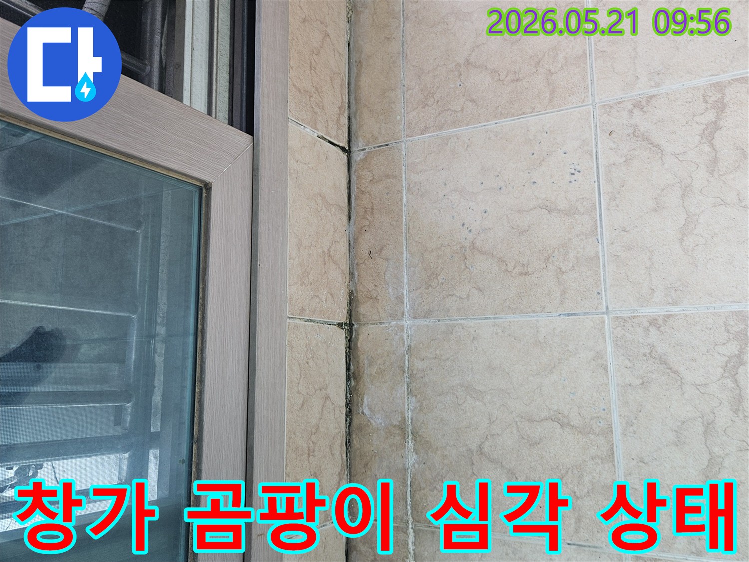 창문-아래-타일-틈새와-벽면에-심하게-번진-곰팡이-모습을-보여주는-사진