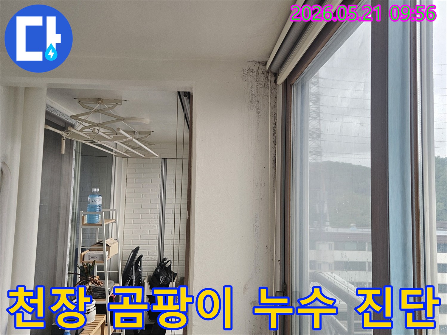 천장과 벽이 만나는 모서리에 곰팡이와 물-자국이 심하게 발생한 모습으로-누수 진단 및 해결이 시급합니다.
