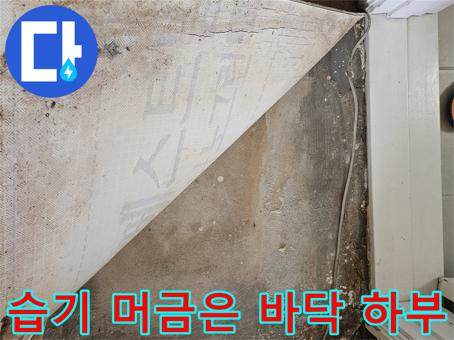 강동구 길동 현장-부식된 배관과 습기가 찬 바닥 상태