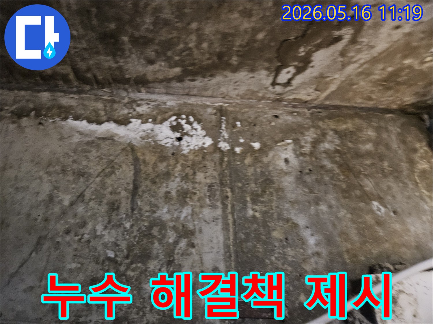누수로 인해-심하게 손상된-벽면을 보며-전문가가-효율적인 해결책을-고객에게 설명하는 모습