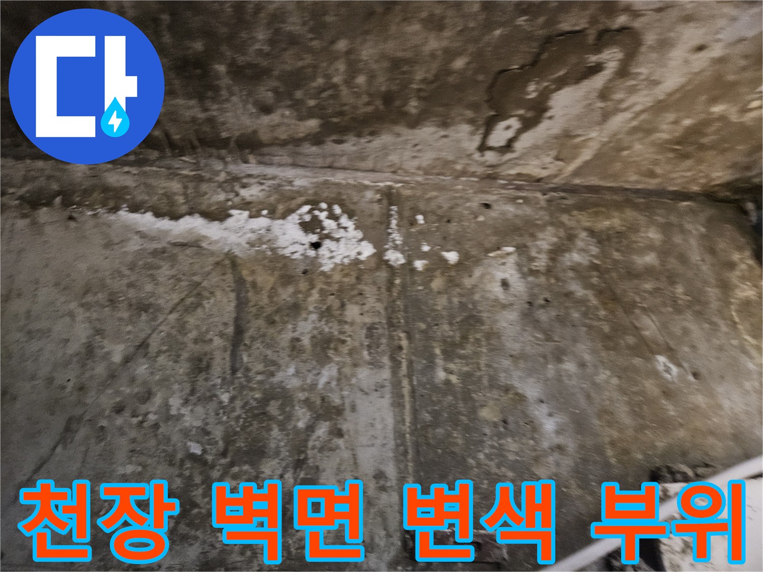 물샘 현상으로 인해 발생한 콘크리트 표면의 곰팡이와 얼룩