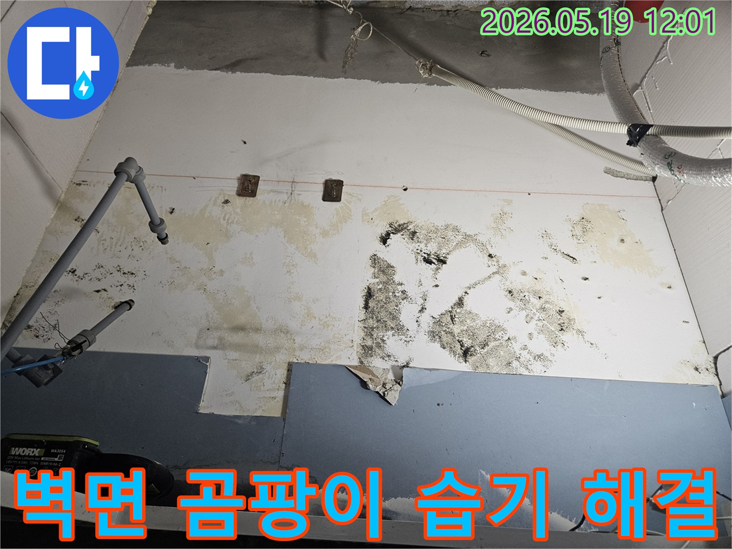 누수로-인해-벽면에-발생한-곰팡이-오염과-과도한-습기-문제를-보여주는-사진