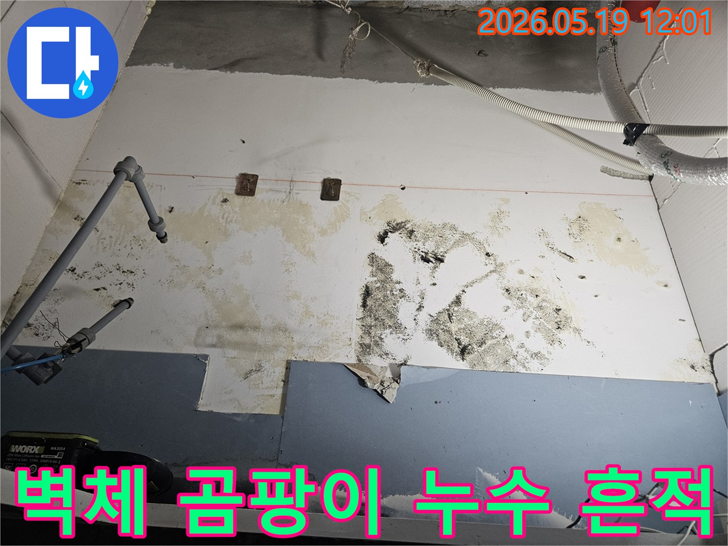 누수로-인해-벽체에-심각한-곰팡이가-발생하고-오염된-상태를-보여주는-사진입니다