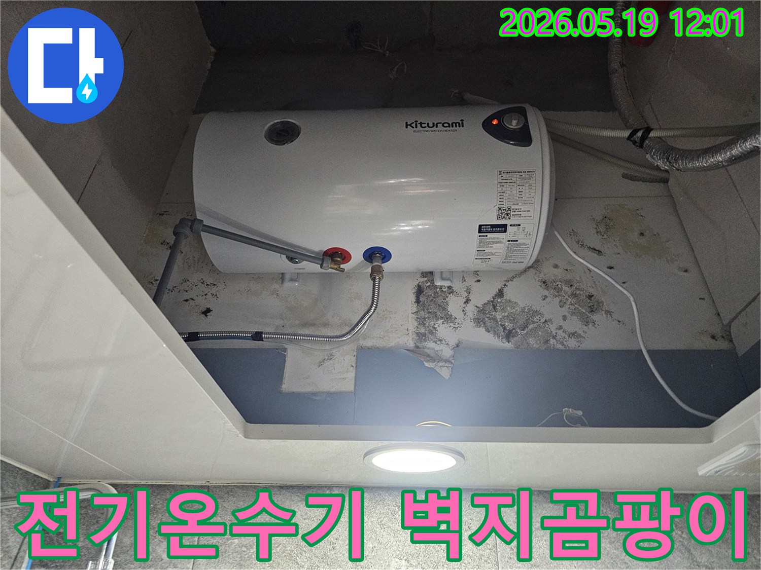 키투라미 전기온수기 주변 벽에 물이 새어-벽지 곰팡이가 심하게 번식한 모습