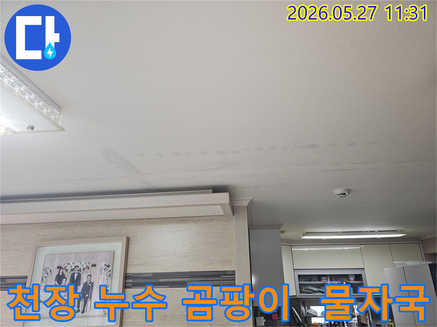 이 이미지는-천장에-발생한-누수-자국과-함께-곰팡이-발생-가능성을-보여주는-사진입니다