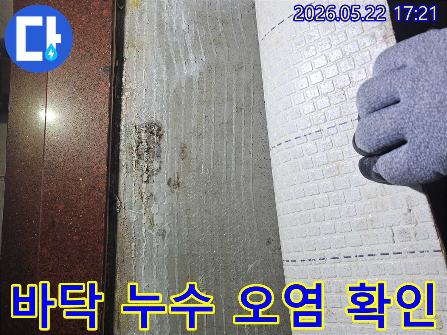 누수-전문가가-장판을-걷어내고-발견한-바닥의-물기와-곰팡이-오염-상태를-정밀하게-확인하는-모습입니다