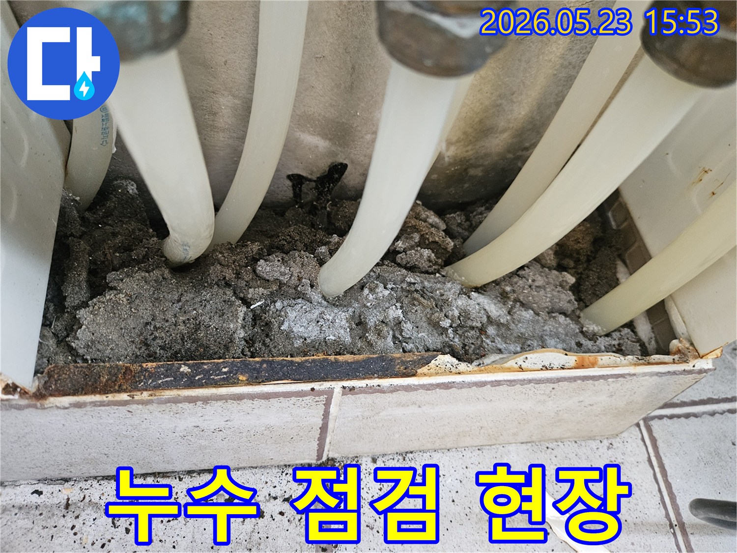 중랑구 지앤지홈타운에서-누수 탐지 업체가-배관 주변의 젖은 흙과 침전물을 점검하는 모습