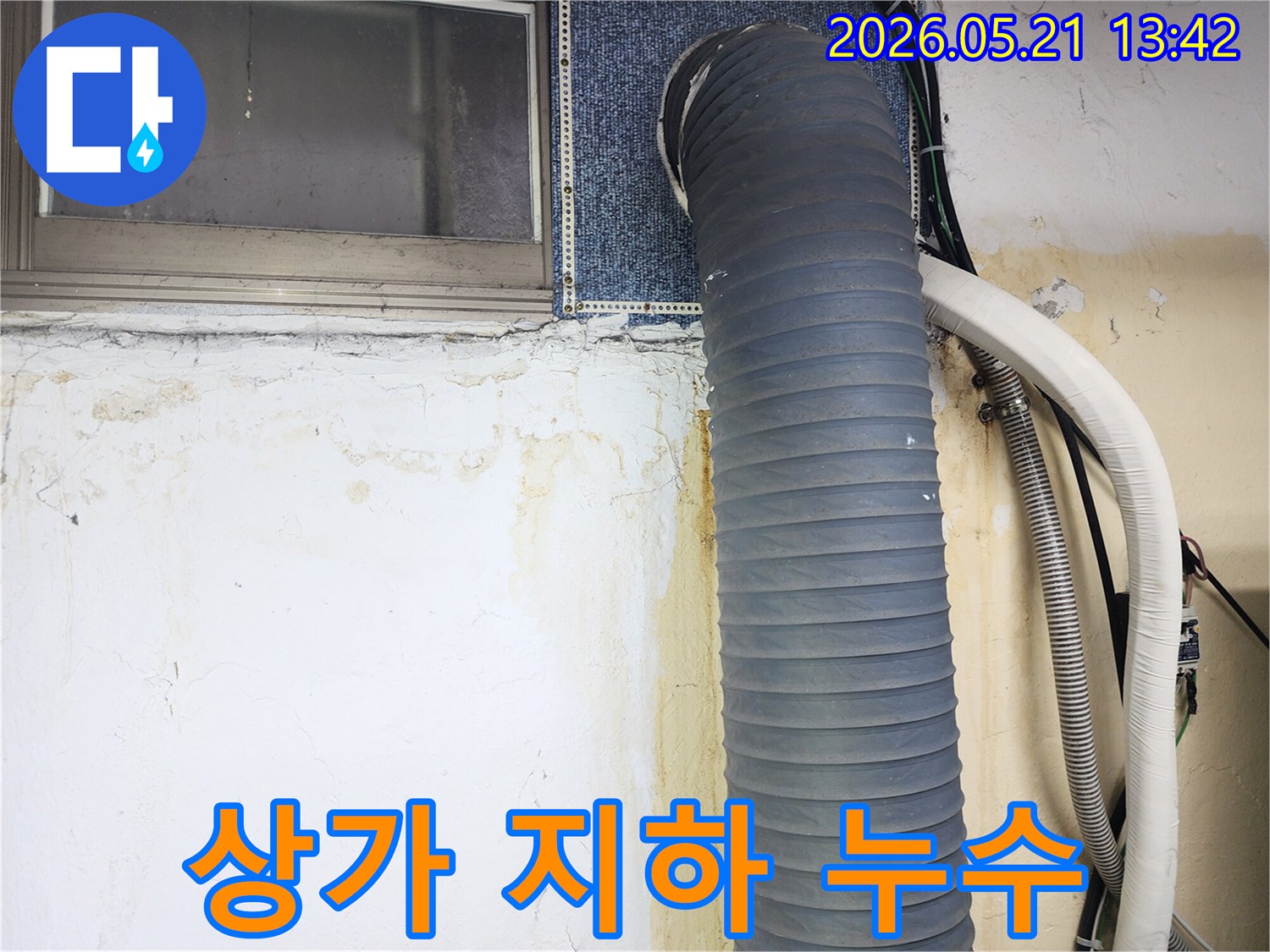 상가-건물-지하층-벽면에-누수로-인해-심각한-물자국과-곰팡이가-발생한-모습을-보여주는-사진