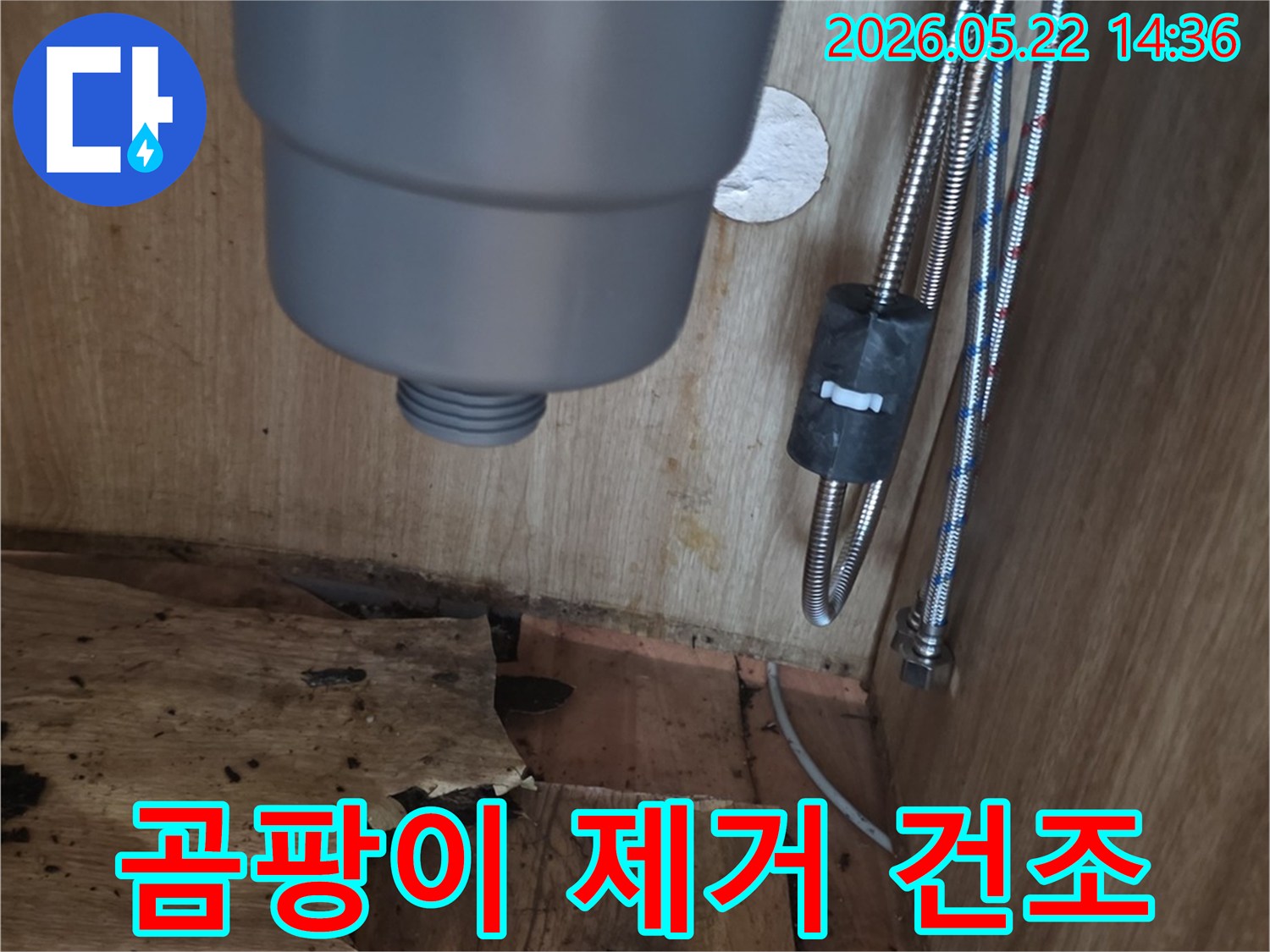 싱크대 하부장 내부의 곰팡이와-물에 젖어 손상된 목재-그리고 배관의 모습-곰팡이 제거 및 건조 작업이 필요한 현장