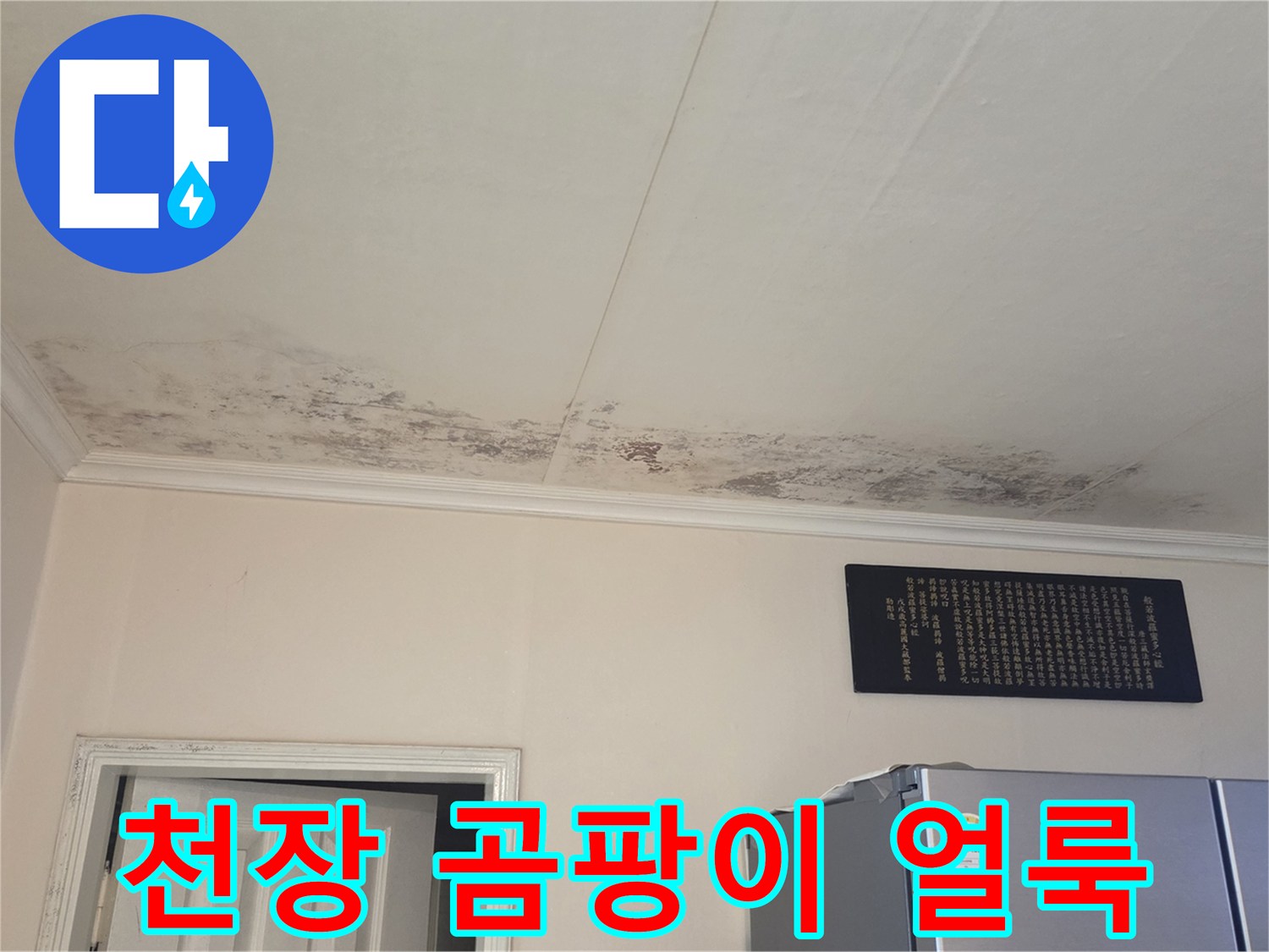 아랫집 화장실 입구-천장 부분에 발생한 광범위한 곰팡이와 물자국 현상
