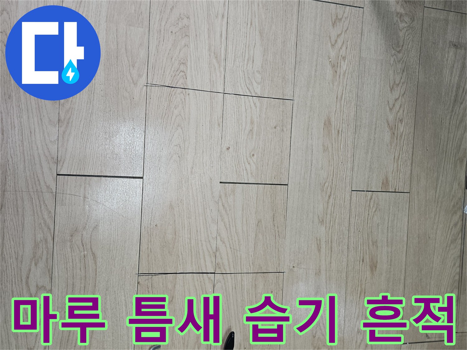 누수 의심 부위의 마루 변색과 작업용 실란트 도구 배치