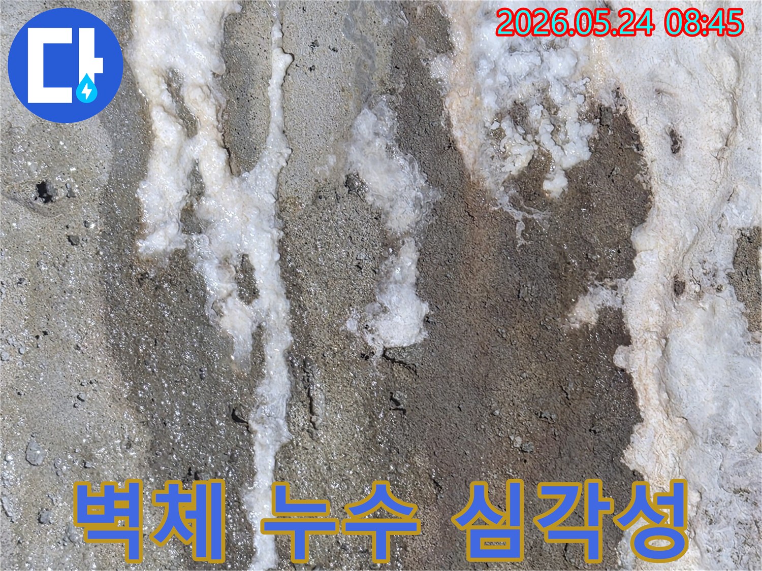 누수가 오래 진행되어-벽체에 하얀 결정과-젖은 자국이 뚜렷하게 나타난-콘크리트 벽면의 상세 이미지