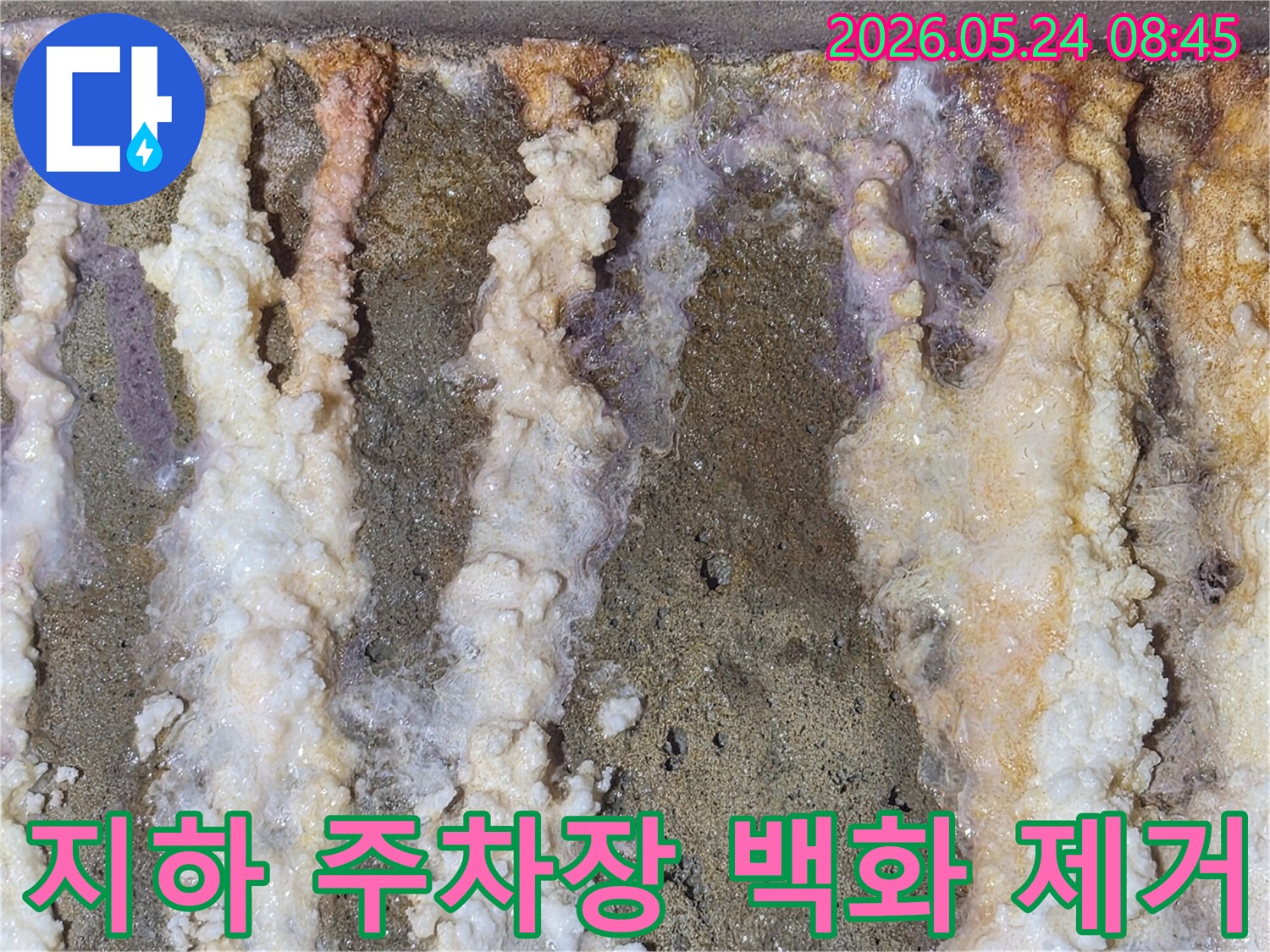 상가-지하-주차장-벽면에-발생한-심각한-백화현상과-누수-흔적-제거-작업