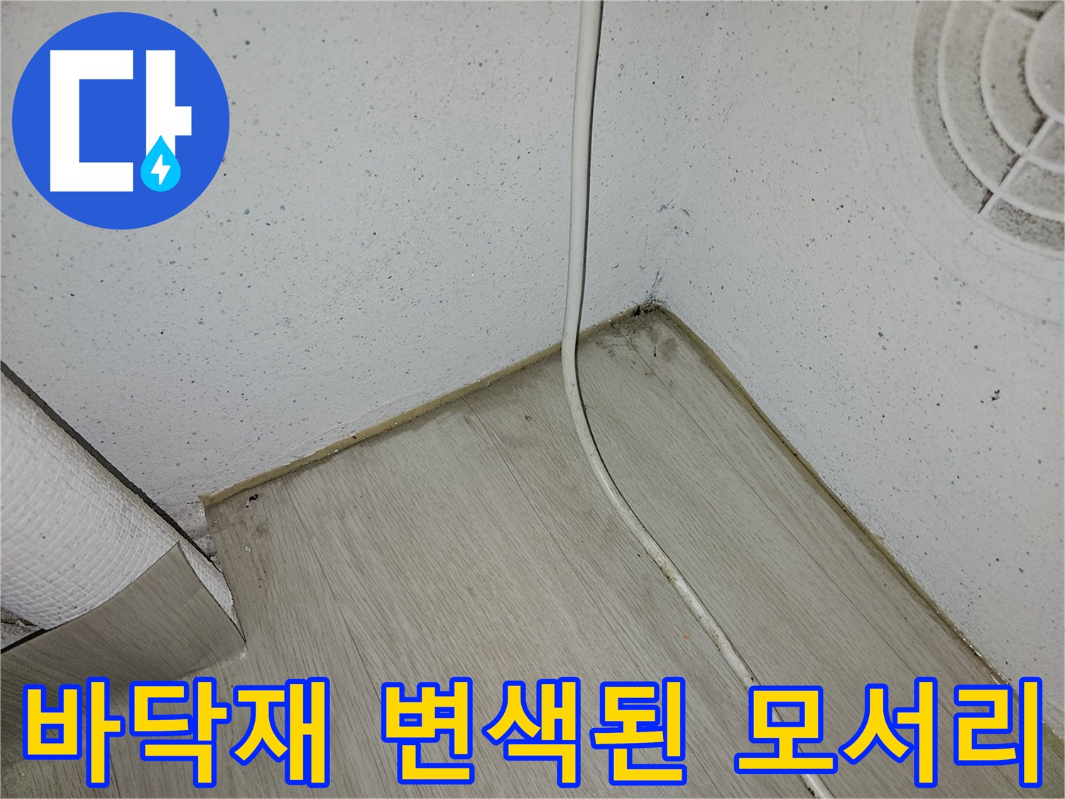 세탁실 벽면과 바닥-물기로 인해 얼룩진 경계 부위