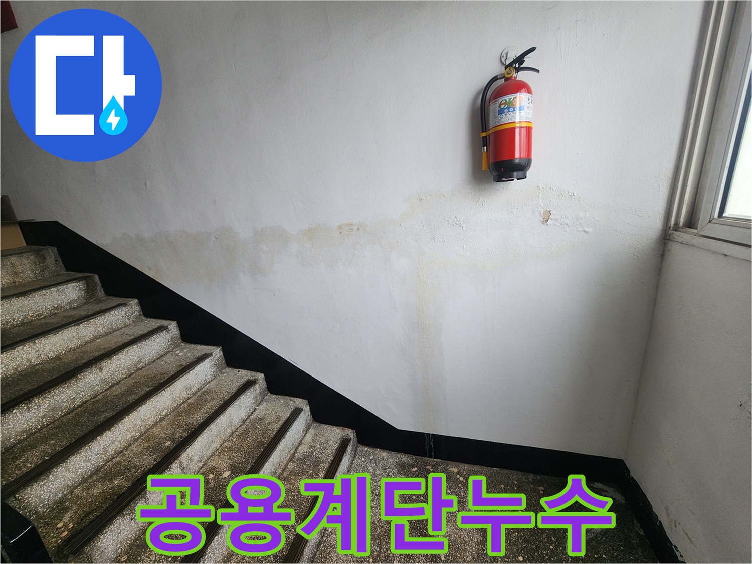 이 이미지는-인천 남동구 아파트 공용 계단 벽면에-발생한 누수 상황을-보여주며-안전과 위생 문제를-시사합니다