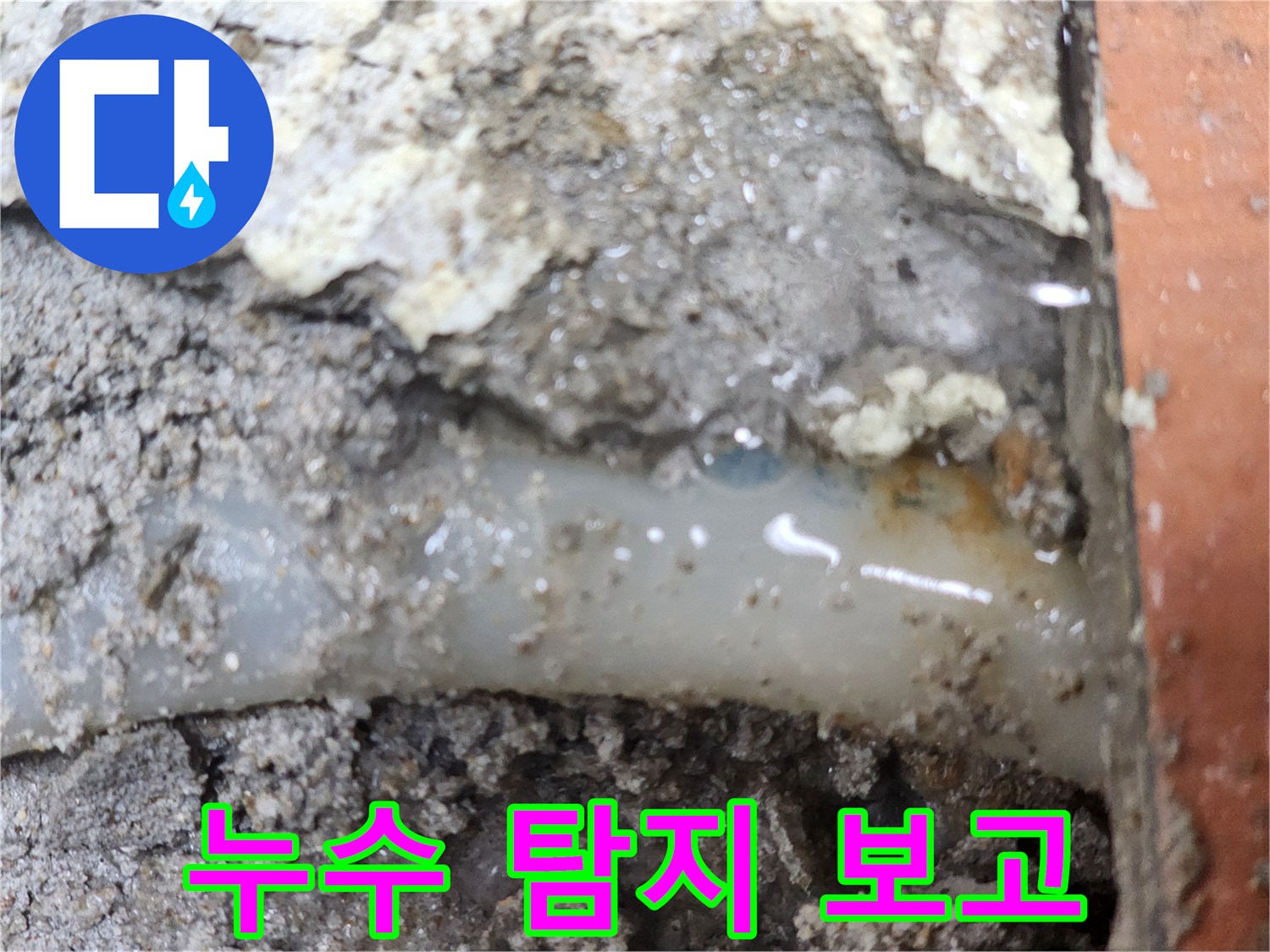 전문가가-정밀-탐지로-누수-지점을-정확히-보고한-현장입니다