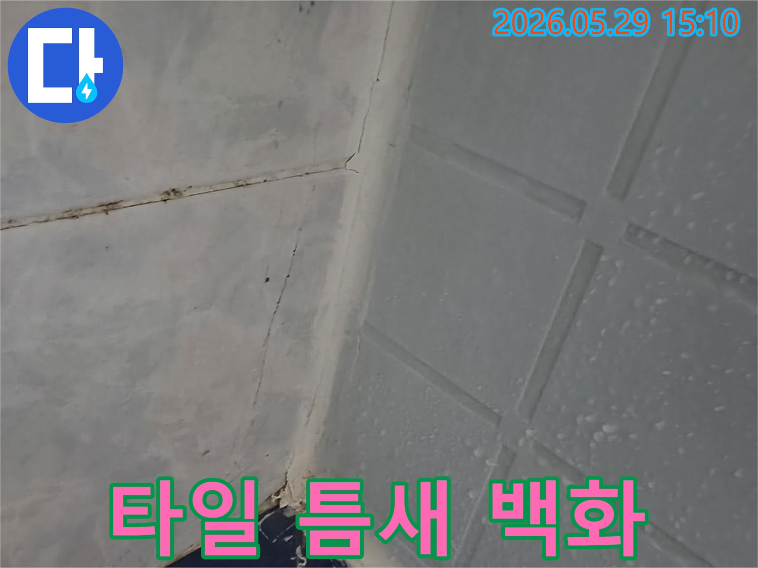 이 이미지는 동두천 아파트 욕실 타일 틈새에 백화 현상이 발생한 누수 현장을 보여줍니다-전문가가 백화 원인과 누수 연관성을 조사하고 있습니다