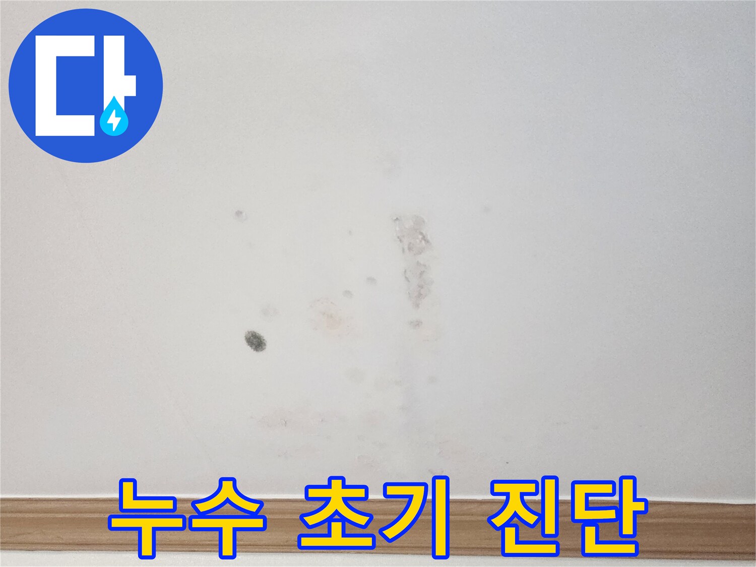 아파트 벽면에 발생한 누수 흔적을-누수 전문가가-신속하게 초기 진단을 진행하여-피해를 최소화하는 모습