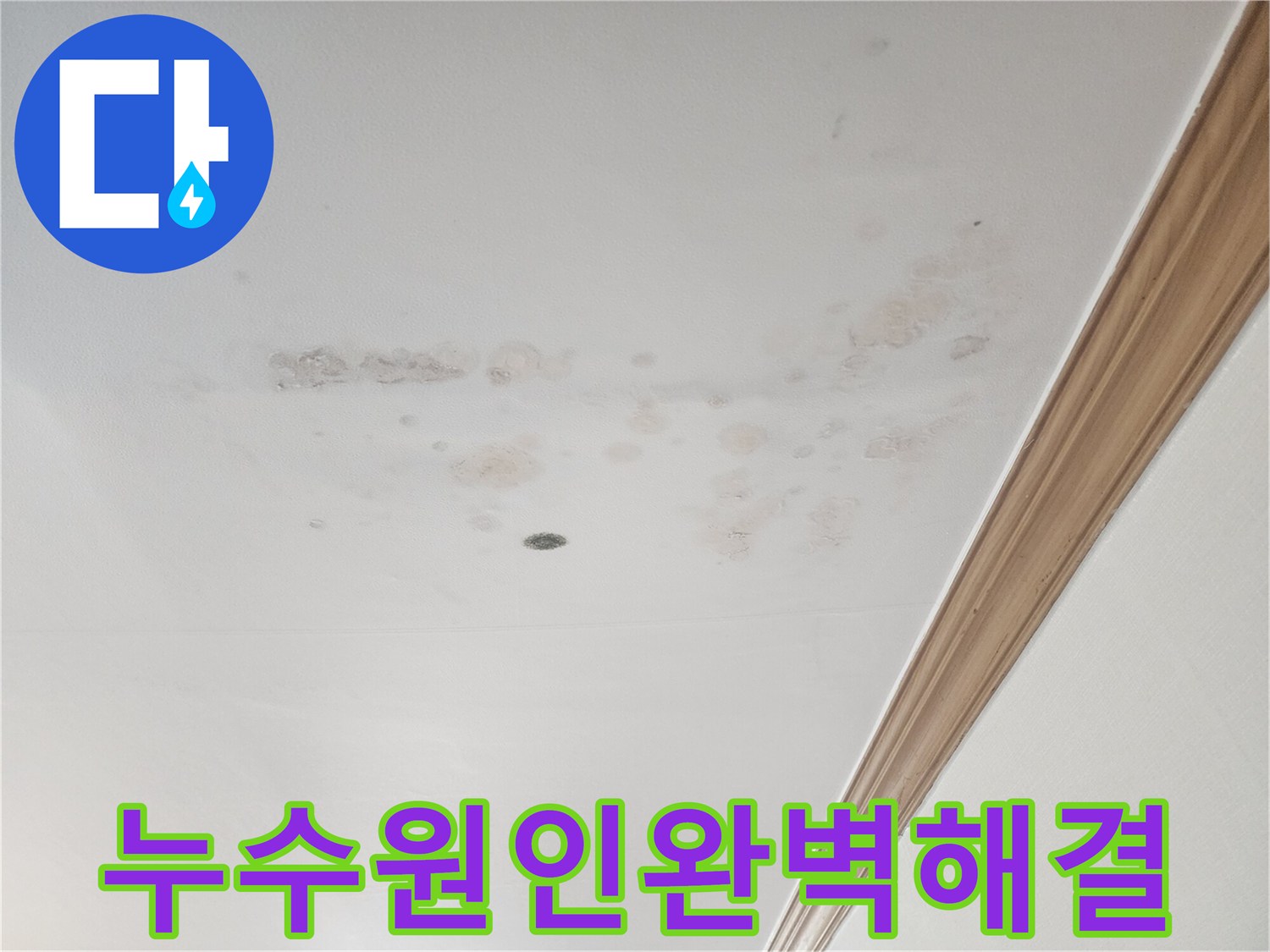 천장 누수로 인해-발생한-물자국과-오염된-표면입니다.