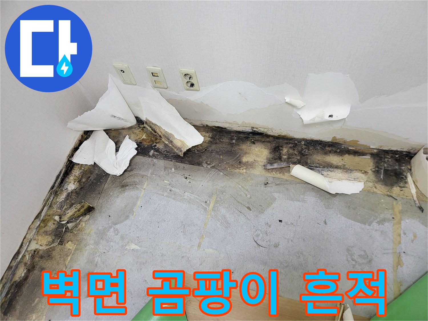 송파구 현장-벽지 하단부에 발생한 검은 곰팡이와 습기 흔적