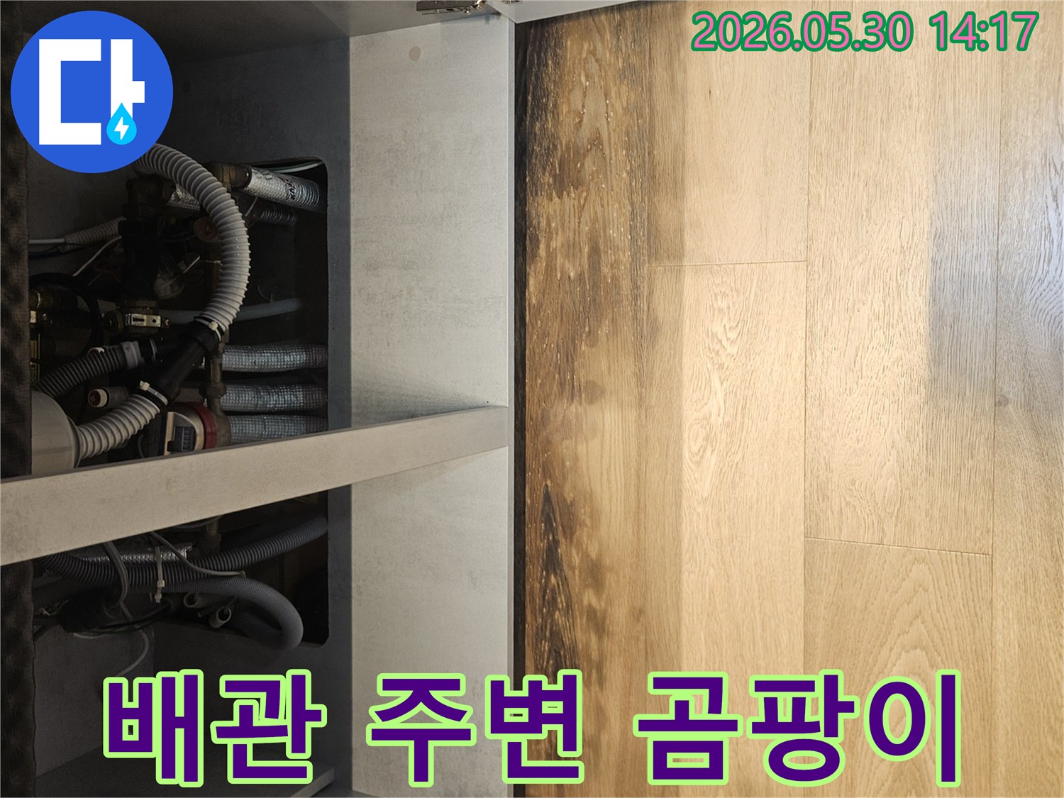 주택 보일러실-아래에서-발견된-배관 주변의-누수 흔적과-곰팡이 발생-현장을-면밀히 확인하는 이미지