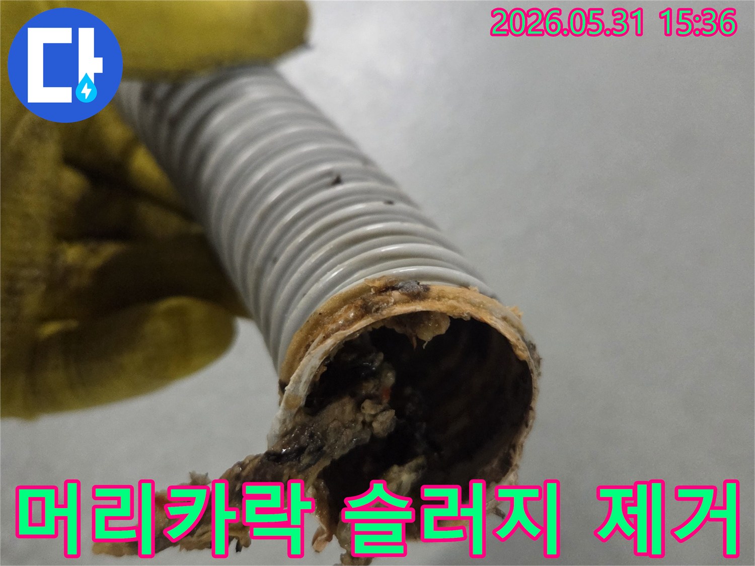 노란색 장갑을 낀 손이-머리카락과 비누 찌꺼기로 막힌 배수관을 들고 있습니다.