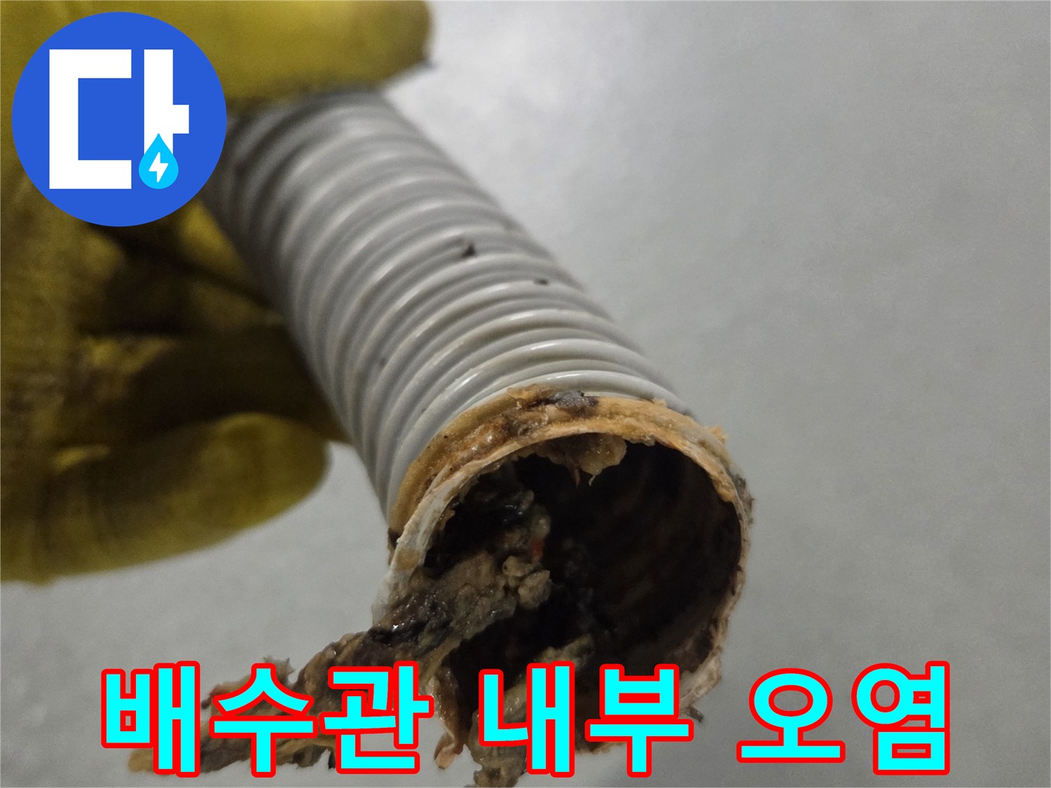 노란색 장갑을 낀 손이-오랜 사용으로 오염된 배수관의 단면을 보여줍니다.