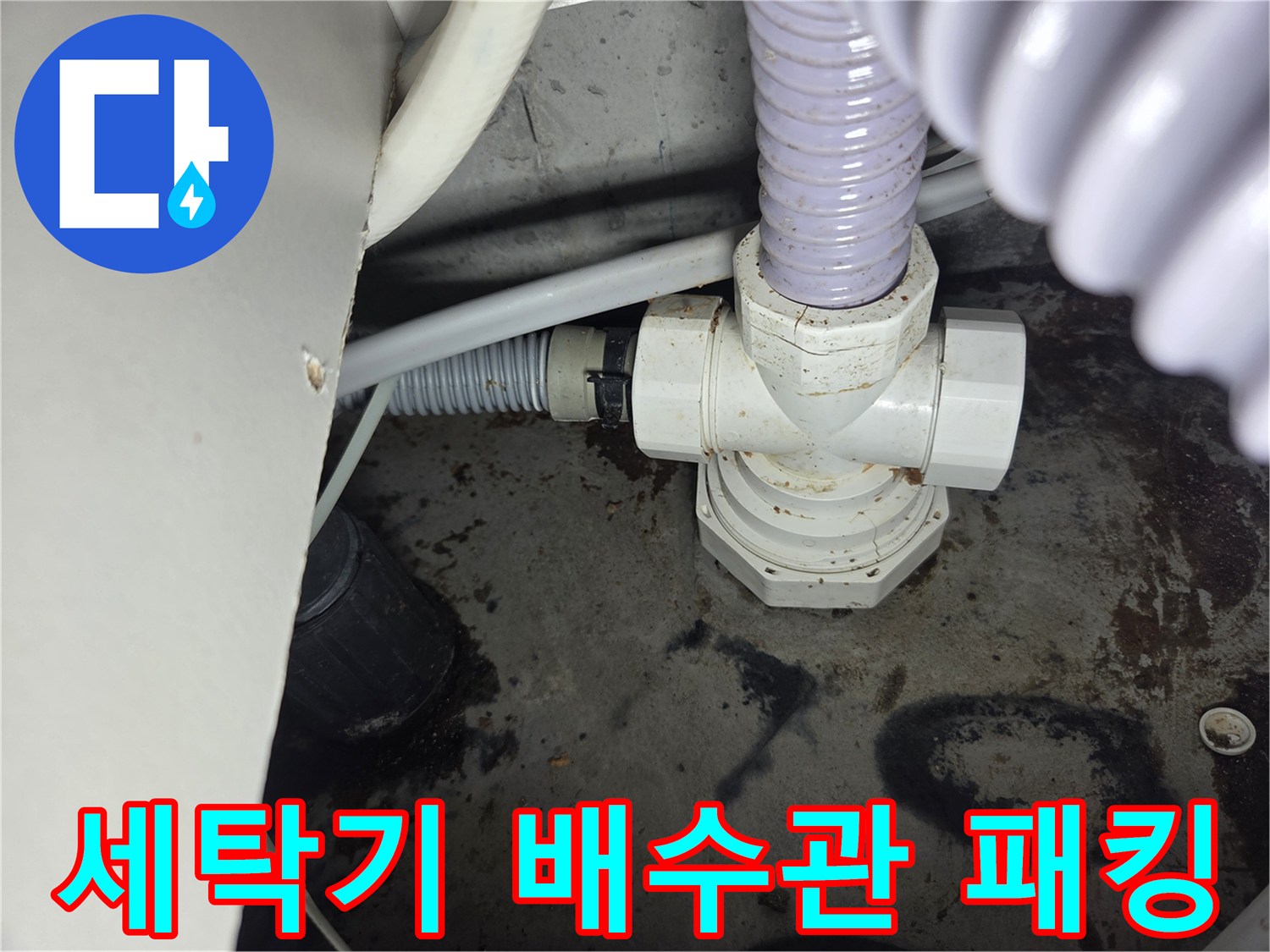 세탁기-배수관-고무-패킹에서-발견된-누수-현장을-보여주는-사진입니다.