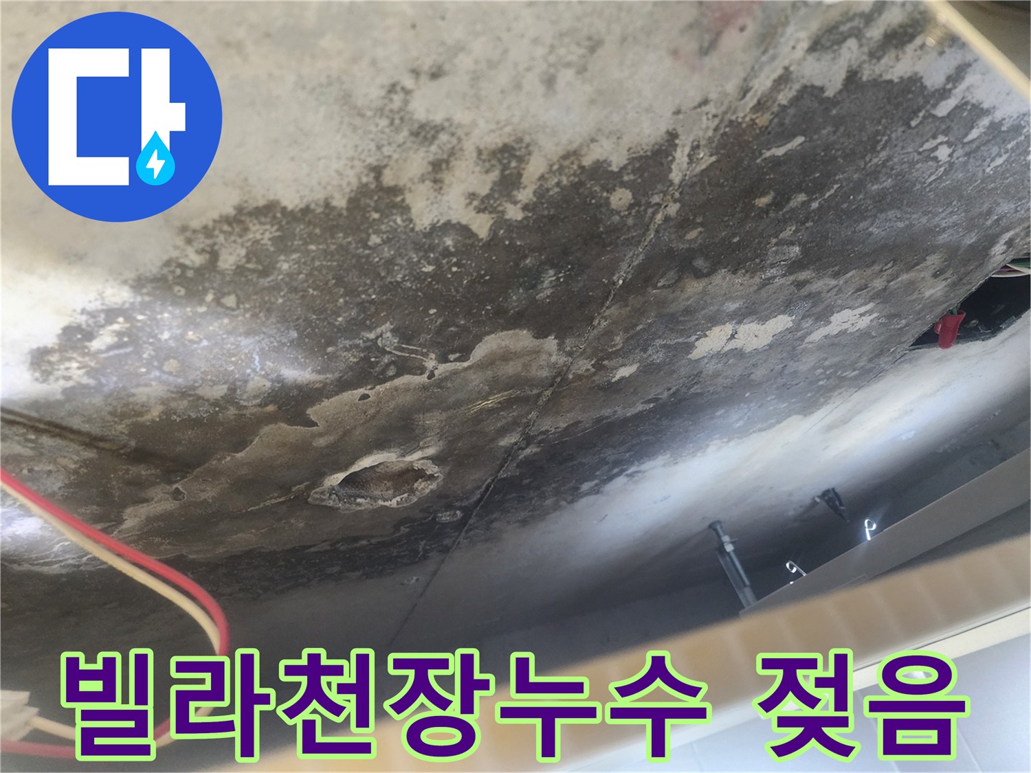 빌라 아랫집 천장에 물이 새어 젖고 곰팡이가 피어오른 심각한 누수-피해 현장 모습입니다.
